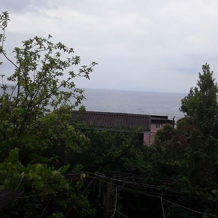 Zeleniy Dvorik Guest House New Athos Exterior photo